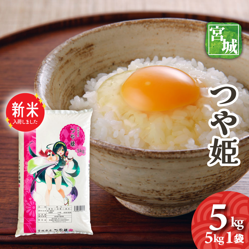 お米さん専用【REVI商品】まとめ売り 令和5年産 新米 無洗米千葉県産コシヒカリ5kg×2袋 TMMM04002