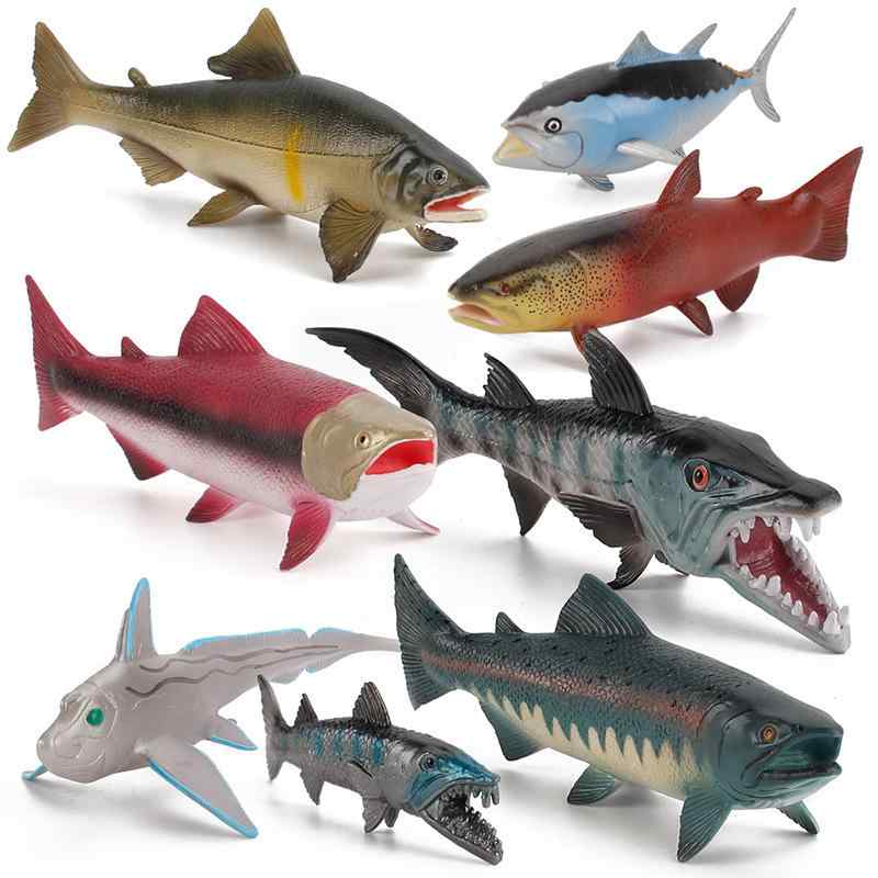 海洋生物フィギュア キッズ 子供用 リアル 魚模型 鮭 マグロ オオカミウオ シロザケ 知育玩具 学習 ソリッド PVC製 コレクション 置物