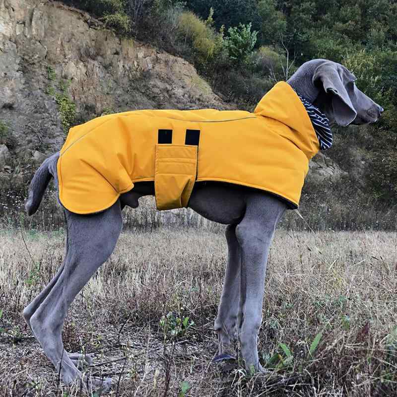 ドッグウェア 犬用 細犬 中型犬 大型犬 タートルネック 厚手 防風 防寒 パデッドジャケット 散歩 お出かけ イエロー レッド 秋冬