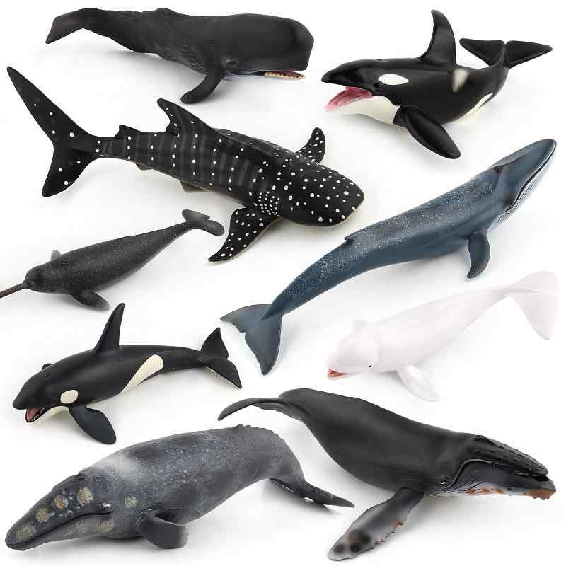 おもちゃ 海洋生物 クジラ イルカ サメ 9種類セット リアル 精巧 ソリッド プラスチック製 フィギュア オブジェ コレクション 観賞用 知育玩具 デスクインテリア