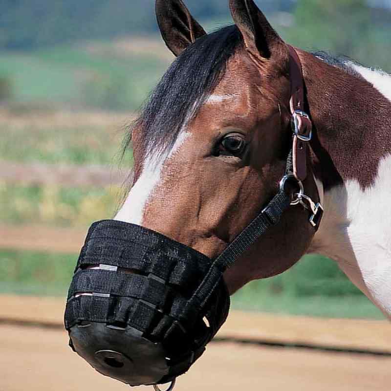 マズル ホルター 馬具 噛み癖防止 しつけ 調教 乗馬用品 訓練 散歩 運動 織りベルト ナイロン 丈夫 調整可能 安全設計 快適フィット 通気性 耐久性 ブラック ブルー フェイスガード 面当て