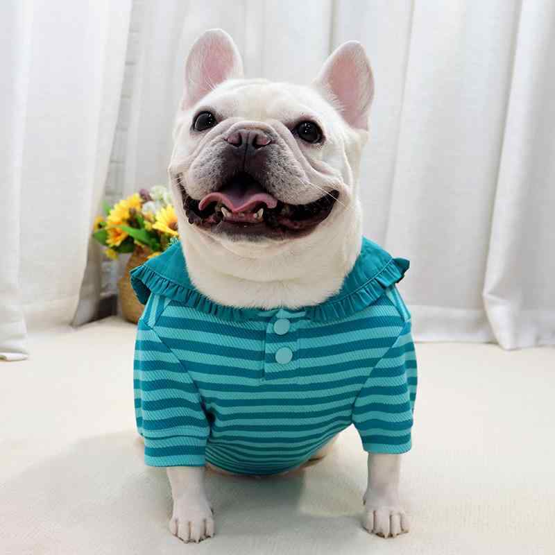 ドッグウェア ぽっちゃり犬 フレンチブルドッグ パグ ブルドッグ 秋冬 半袖 Tシャツ ポロシャツ 綿 コットン ブルー ストライプ マリン トップス