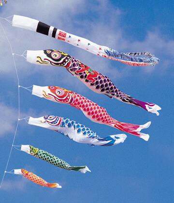 【破格】鯉のぼり(鯉のみ)箱無し 2024新作 子供の日 鯉のぼり こいのぼり 金箔真鯉 緋鯉 子鯉