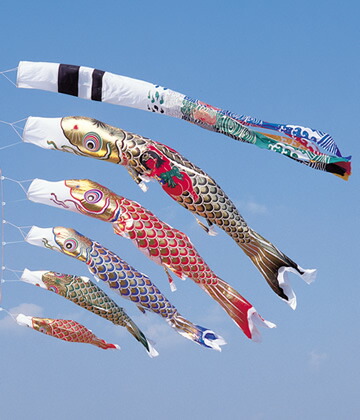 楽天市場】【本格鯉のぼり】綾錦鯉3色セット・6m 庭園用大型鯉