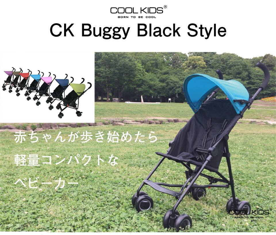 楽天市場】【リッチェル】カルガルー プラス CT ネイビー(NV)/B