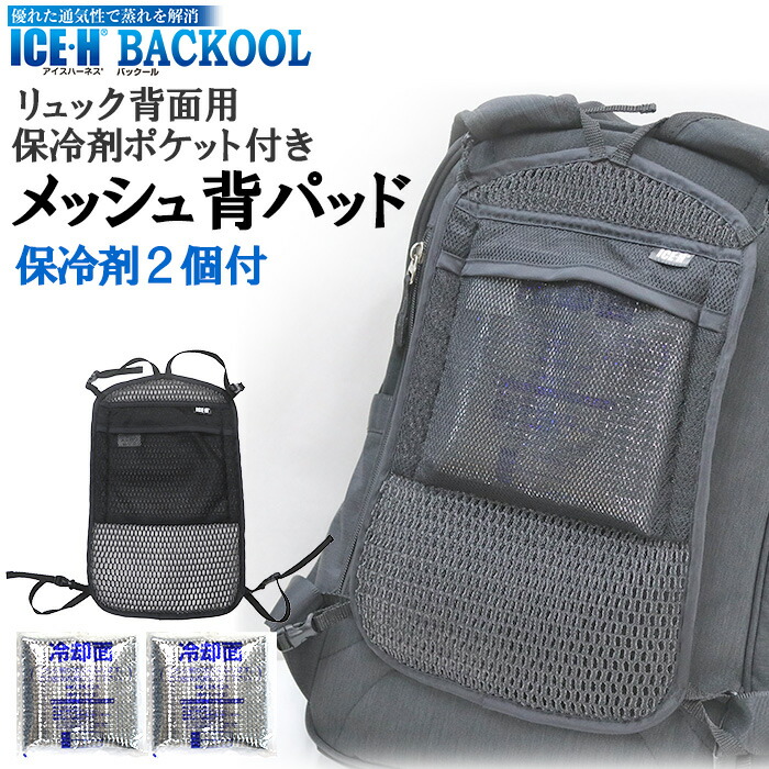 リュック 背中 クッション 再入荷 54 割引 Saferoad Com Sa