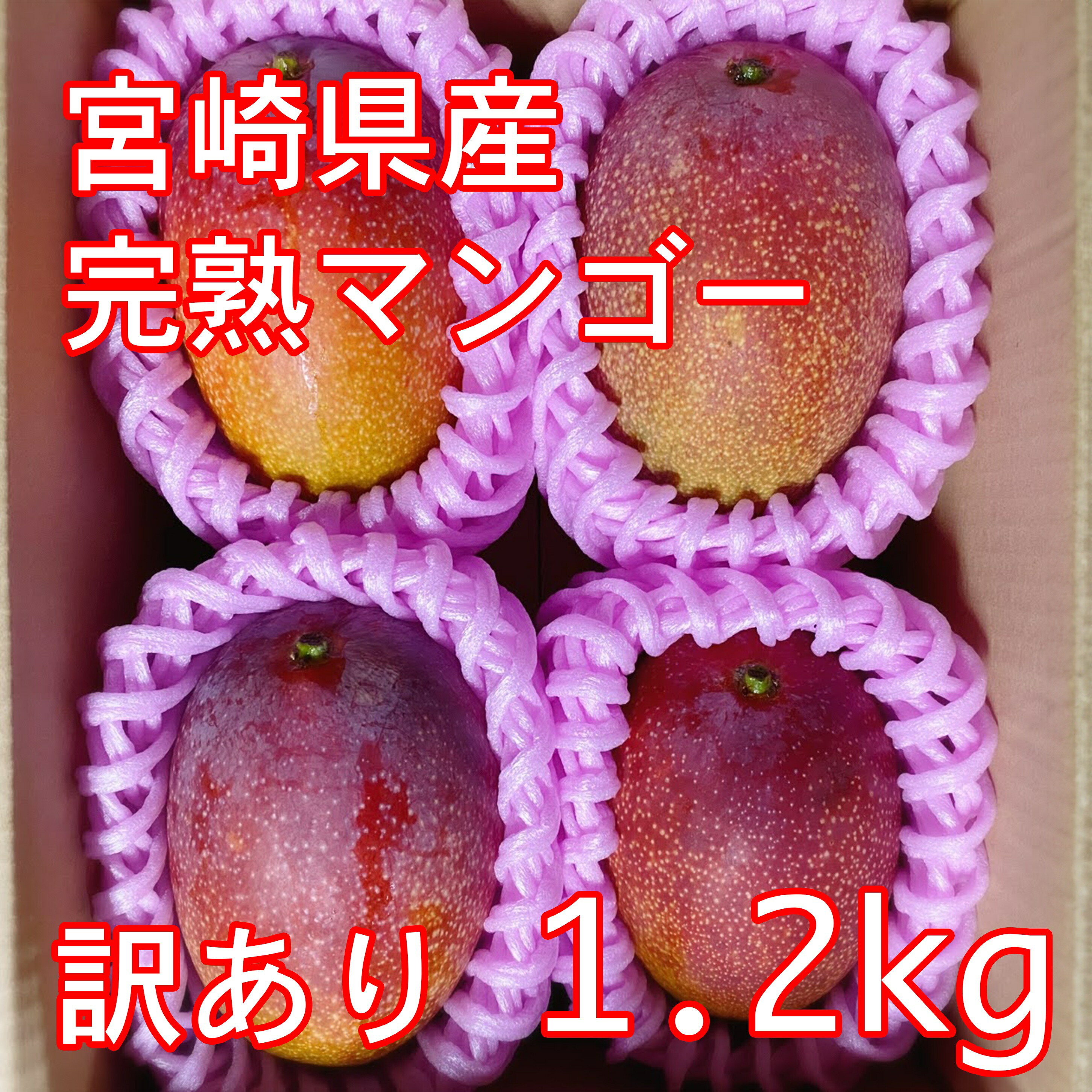 宮崎県産 完熟マンゴー 訳あり 3-4玉 1.2kg アップルマンゴー 熱帯果実 産地直送 産直 加工用 赤池農園 中元 お祝い 残暑見舞い 家庭用 自宅用 旬 期間限定 冷蔵 お徳