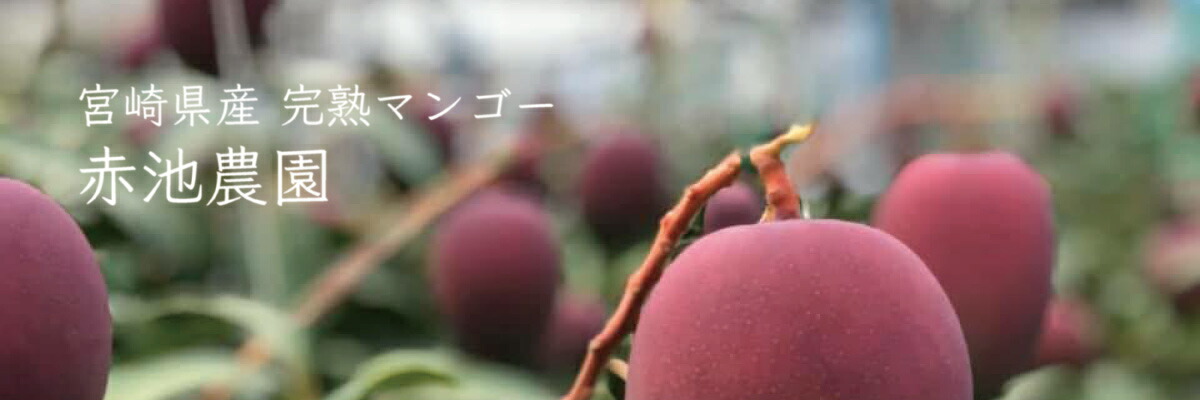 ࡧܺΥޥ󥴡ȤǤǰ¿ʲ̼¤ľǤϤޤ