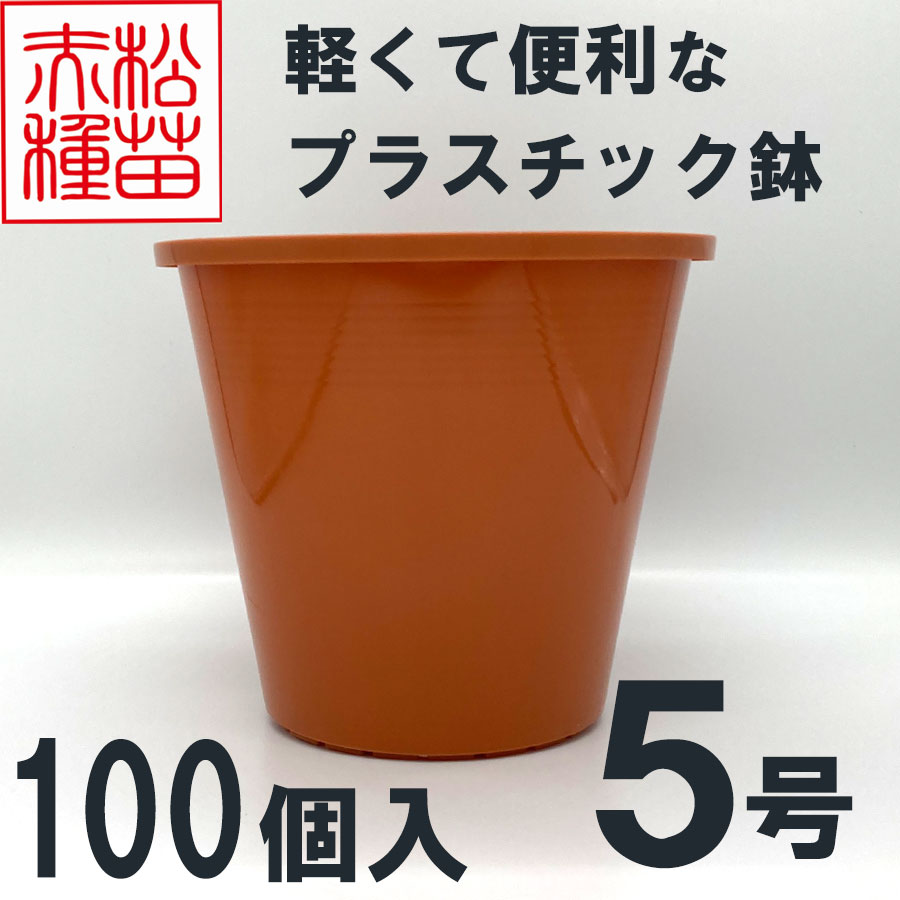 楽天市場】プラスチック鉢 5号 ブラウン 茶色 （１個） プラ鉢 ヤマトプラスチック : 赤松種苗