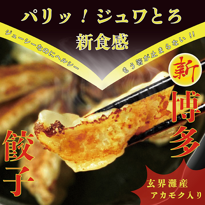 楽天市場 送料無料 博多餃子あかもく入り 18個入り3パック餃子 冷凍餃子 ぎょうざ ギョウザ 玄界灘 海藻 セット 国産 天然 天然あかもく 天然海藻 魚介類 販売 ギフト お取り寄せ 酒 おつまみ まとめ買い 福岡 食物繊維 ミネラル フコキサンチン スーパーフード 海の