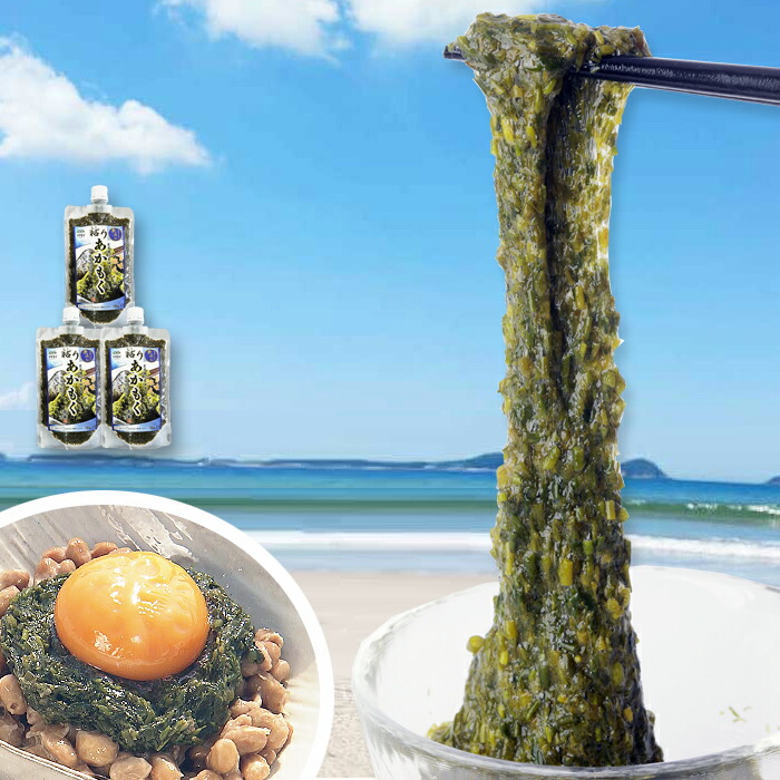 藻さん 専用 楽天市場】粘りあかもく 福岡県宗像市の玄界灘で収穫される天然の海藻