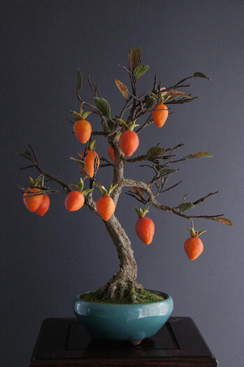 楽天市場】盆栽 柿 即日出荷 楽天1位《旬 紅光》艶紅実のローヤ柿