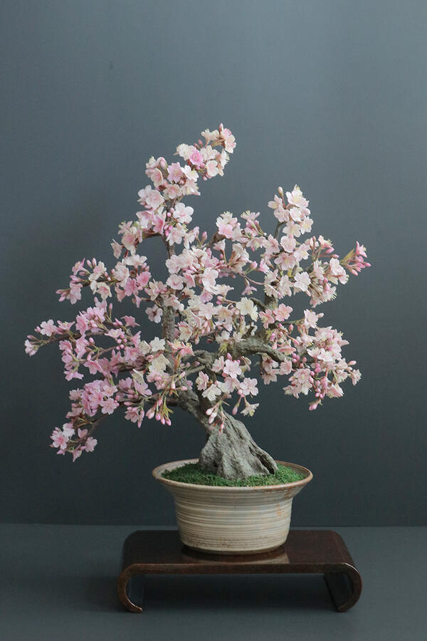 盆栽 桜 #150（造花）
