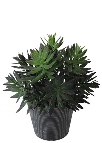 【返品不可】サッカレント ポット Ｈ２８サイズ / 人工グリーン｜あーかんび（AKANBI）