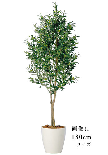 【返品不可】ライプオリーブ デュアル / H150大きさ / 人工緑であること / 光触媒産業