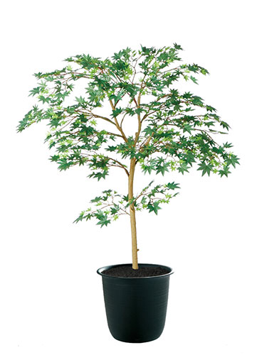 【返品不可】ヤマモミジ GREEN / H100サイズ / 人工グリーン / 光触媒加工|あーかんび(AKANBI)