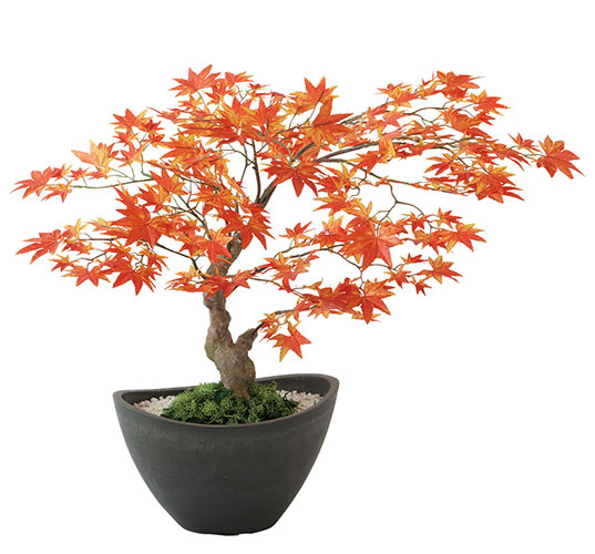 光触媒　人工観葉植物　フェイクグリーン　ヤマモミジ ボウル RED 楽天市場】【返品不可】ヤマモミジ ボウル RED / 人工グリーン