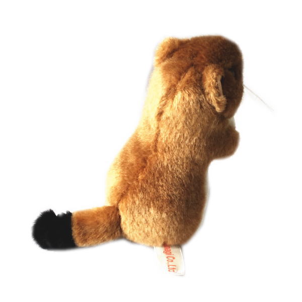 楽天市場 動物 アニマル ぬいぐるみ おこじょ 茶 小サイズ オコジョ 野生動物 縫いぐるみ ヌイグルミ どうぶつ 阿寒湖 きりり