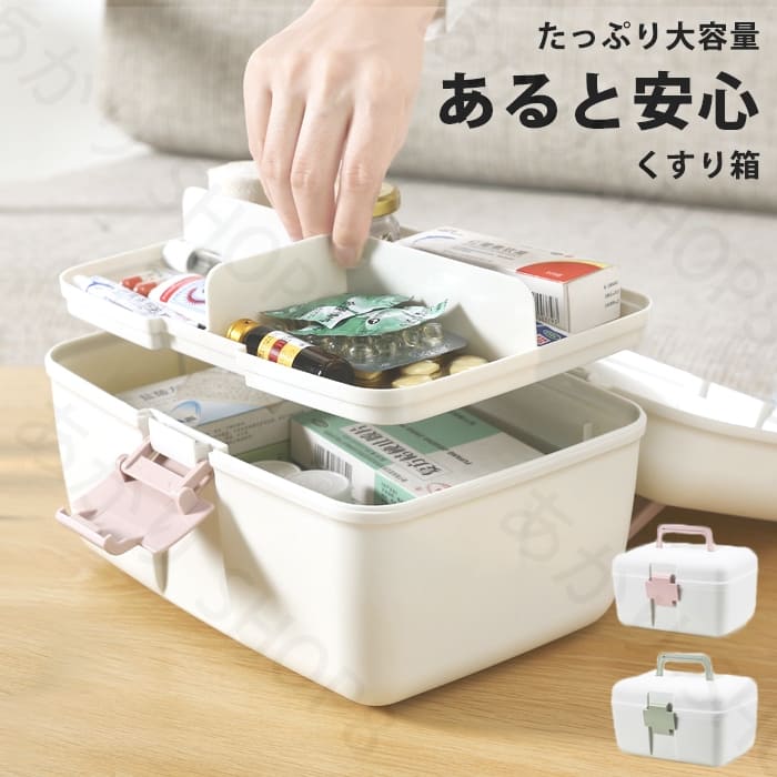 楽天市場】送料無料小物入れ 中国茶缶風 リアルな柿型 和風
