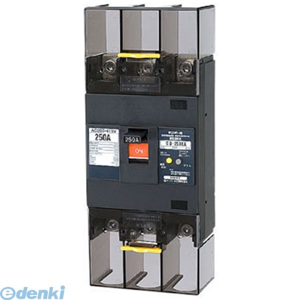 【キャンセル不可】テンパール工業 GB-253EA 250A W2 漏電遮断器 GB253EA250AW2