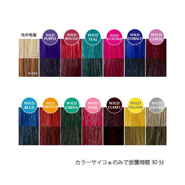 5060148612515 【6個入】 カラーサイコ ヘアカラートリートメントクリーム オレンジ【キャンセル不可】｜アカリカ