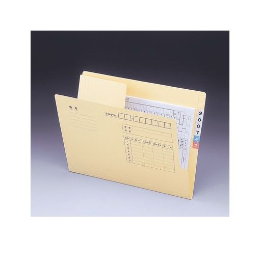 (LINEクーポン有)リヒトラブ LIHIT LAB. HK742 退院フォルダー Ａ４ 4903419186388 タイインフォルダー LIHITLAB MED 20,019円