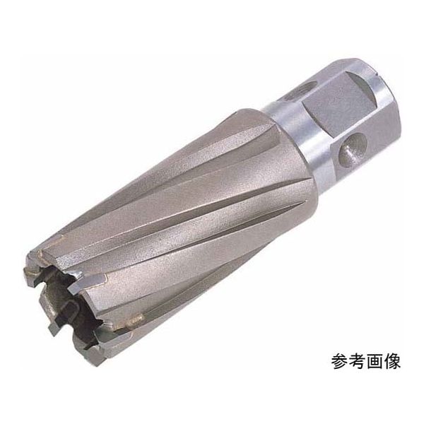 (LINEクーポン有)【即納在庫品】「直送」日東工器 JB 24X50LW ジェットブローチ JB24X50LW