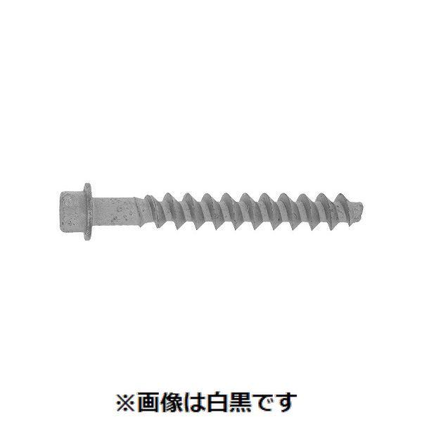 【個人宅配送不可】【個数:100個】SUNCO 4550186674916 【100個入】 直送 代引不可・他メーカー同梱不可 ジオメット SUS410アスファルト用ネジアンカー 10X70X60|アカリカ
