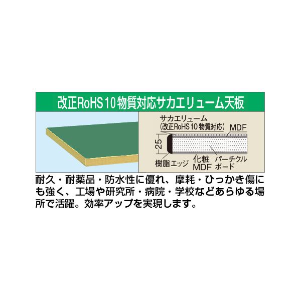 (LINEクーポン有)【個人宅配送不可】サカエ SAKAE KT-1890FTENC 直送 代引不可・他メーカー同梱不可 作業台 オプション天板 中量用天板 KT1890FTENC