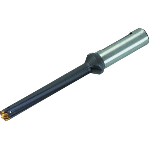 【即納在庫品】「直送」イスカル DCM 250-125-25A-5D Ｘ　カムドリル／ホルダ DCM25012525A DCM25012525A5D 【キャンセル不可】｜アカリカ