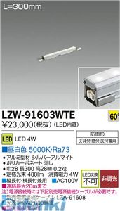 (LINEクーポン有)大光電機 DAIKO LZW-91603WTE ＬＥＤシステムライト LZW91603WTE 昼白色 屋外用スリムラインライト