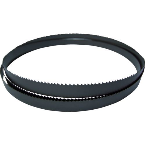 3881-54-1.6-THS-1/1.25-5890 直送 代引不可・他メーカー同梱不可 【2個入】 バンドソー用替刃 超硬バンドソーブレード １／１．２５山 全長５８９０&times;幅５４&times;厚さ１．６ｍｍ3881541.6THS1/1.255890｜アカリカ