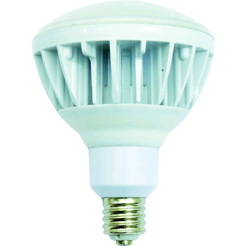 【即納在庫品】「直送」日動 L40V2-J110-50K 投光器用ＬＥＤ交換球 ハイスペックエコビック４０Ｗ Ｅ３９ 昼白色 本体白L40V2J11050K 日動工業 NICHIDO 200 15,072円