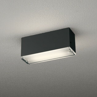 OG264099LR オーデリック 軒下シーリングライト 白熱灯器具40W相当 電球色 防雨型