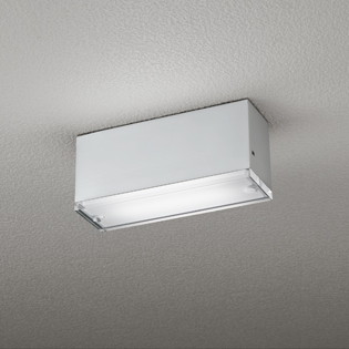 OG264100NR オーデリック 軒下シーリングライト 白熱灯器具40W相当 昼白色 防雨型