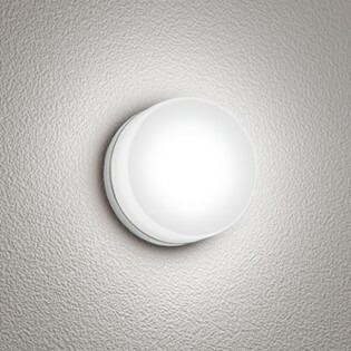 OG254823R オーデリック 浴室灯 ポーチライト 白熱灯器具60W相当 昼白色 防雨防湿型