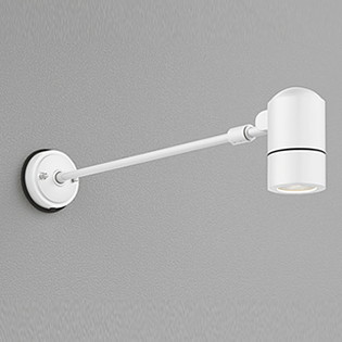OG254593 オーデリック エクステリア 注目の的 照明ランプ別売 防雨型