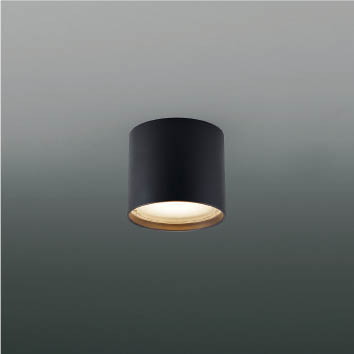 AU54781 コイズミ照明 軒下シーリングライト 白熱灯器具100W相当 電球色 防雨防湿型