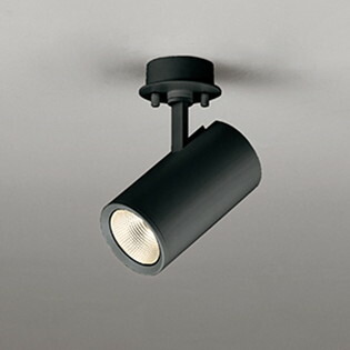 OS256508R オーデリック スポットライト 白熱灯器具100W相当 電球色 調光可能