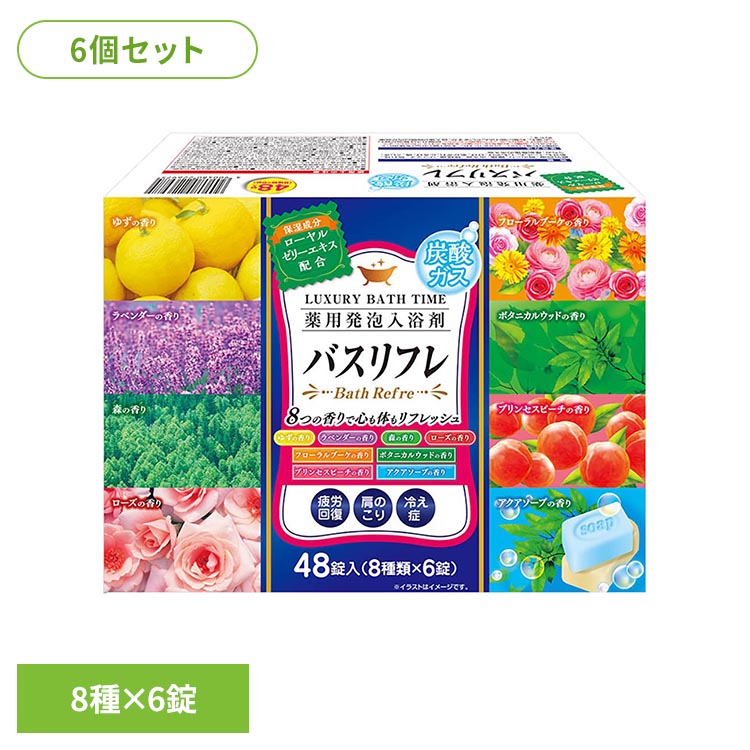 【6個セット】入浴剤 アソートセット 薬用 炭酸ガス 薬用発泡入浴剤 入浴剤 アソートセット 薬用 日本製 炭酸 発砲 炭酸湯 疲労回復 肩こり 冷え性 大容量 にゅうよくざい ライオンケミカル