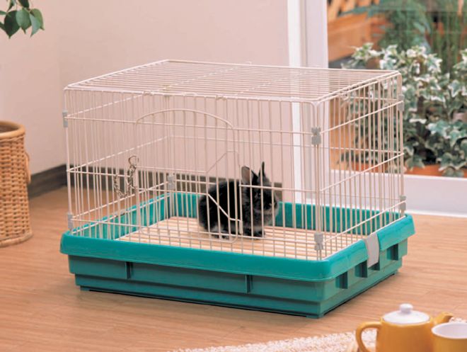 94円 在庫処分 ラビットケージ Uk 650 パステルグリーン アイリスオーヤマ ご家庭 ご家族のハムスターリスうさぎ ウサギに ペット用品 小さいサイズ うさぎ小屋 小型 うさぎ飼育