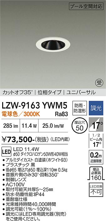【送料無料】【受注生産品】大光電機 LZW-9163YWM5 屋外灯 ダウンライト 畳数設定無し LED≪即日発送対応可能 在庫確認必要≫ 安心のメーカー保証｜照明器具専門店　灯の広場
