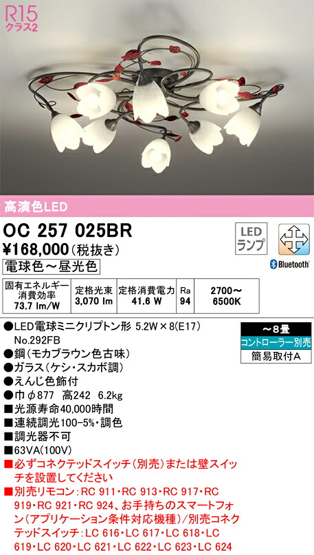 【送料無料】Ｎ区分 オーデリック OC257025BR （ランプ別梱包）『OC257025#＋NO292FB×8』 シャンデリア リモコン別売 ～8畳 LED 安心のメーカー保証