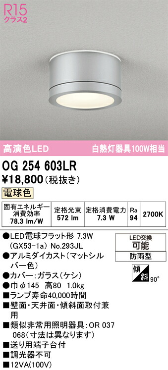 【送料無料】 オーデリック Ｔ区分 OG254603LR-SF （ランプ別梱包）『OG254603#＋NO293JL』 ポーチライト 畳数設定無し LED 安心のメーカー保証