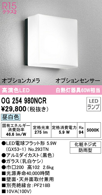 【送料無料】 オーデリック Ｔ区分 OG254980NCR-SF （ランプ別梱包）『OG254980#＋NO293TN』 ポーチライト 畳数設定無し LED 安心のメーカー保証