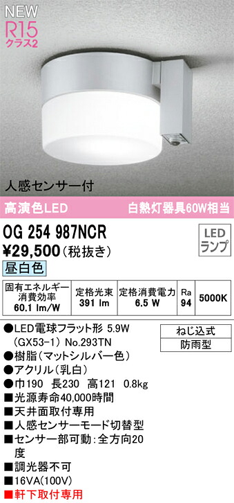 Ｔ区分 オーデリック OG254987NCR （ランプ別梱包）『OG254987#＋NO293TN』 ポーチライト 人感センサー 畳数設定無し LED 安心のメーカー保証｜照明器具専門店　灯の広場
