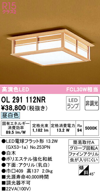 【貨物輸送無料】 オーデリック Ｔカテゴリー化 OL291112NR-空想科学小説  （照明ランプ別荷拵え）『OL291112#＋NO253PN』 最高限度点火装置 畳数築き上げる皆無 LED 楽になることの製造業者引き受ける