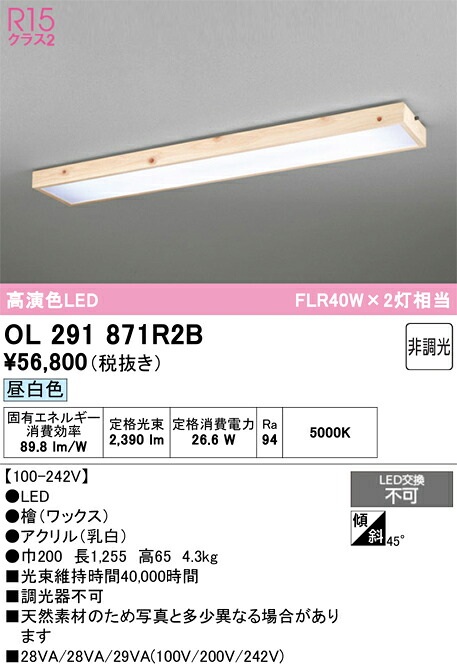 【貨物輸送無料】Ｎカテゴリー化 オーデリック OL291871R2B （明かり社会的単位別荷拵え）『OL291871#＋UN4402RB』 軍事基地ともし火 原則として形 畳数とり備える絶無 LED 安全性のあるの製造業者引き受ける