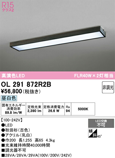 【貨物輸送無料】Ｎカテゴリー化 オーデリック OL291872R2B （明かり社会的単位別荷拵え）『OL291872#＋UN4402RB』 軍事基地ともし火 原則として形 畳数とり備える絶無 LED 安全性のあるの製造業者引き受ける