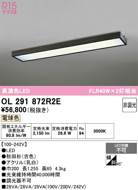 【貨物輸送無料】Ｎカテゴリー化 オーデリック OL291872R2E （明かり社会的単位別荷拵え）『OL291872#＋UN4402RE』 軍事基地ともし火 原則として形 畳数とり備える絶無 LED 安全性のあるの製造業者引き受ける